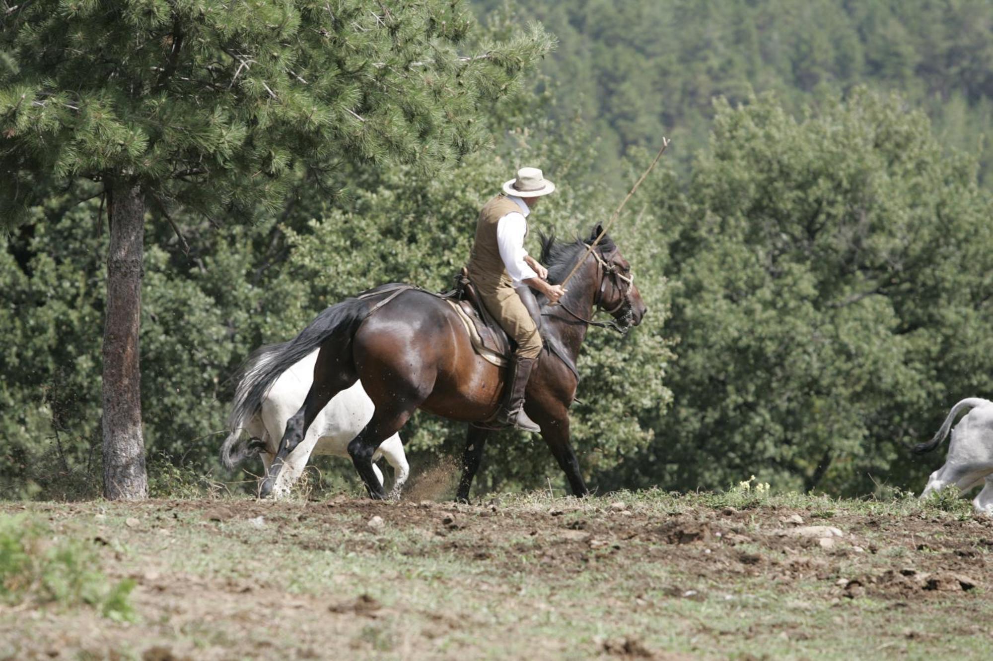 Agriturismo La Forra Cavriglia Luaran gambar