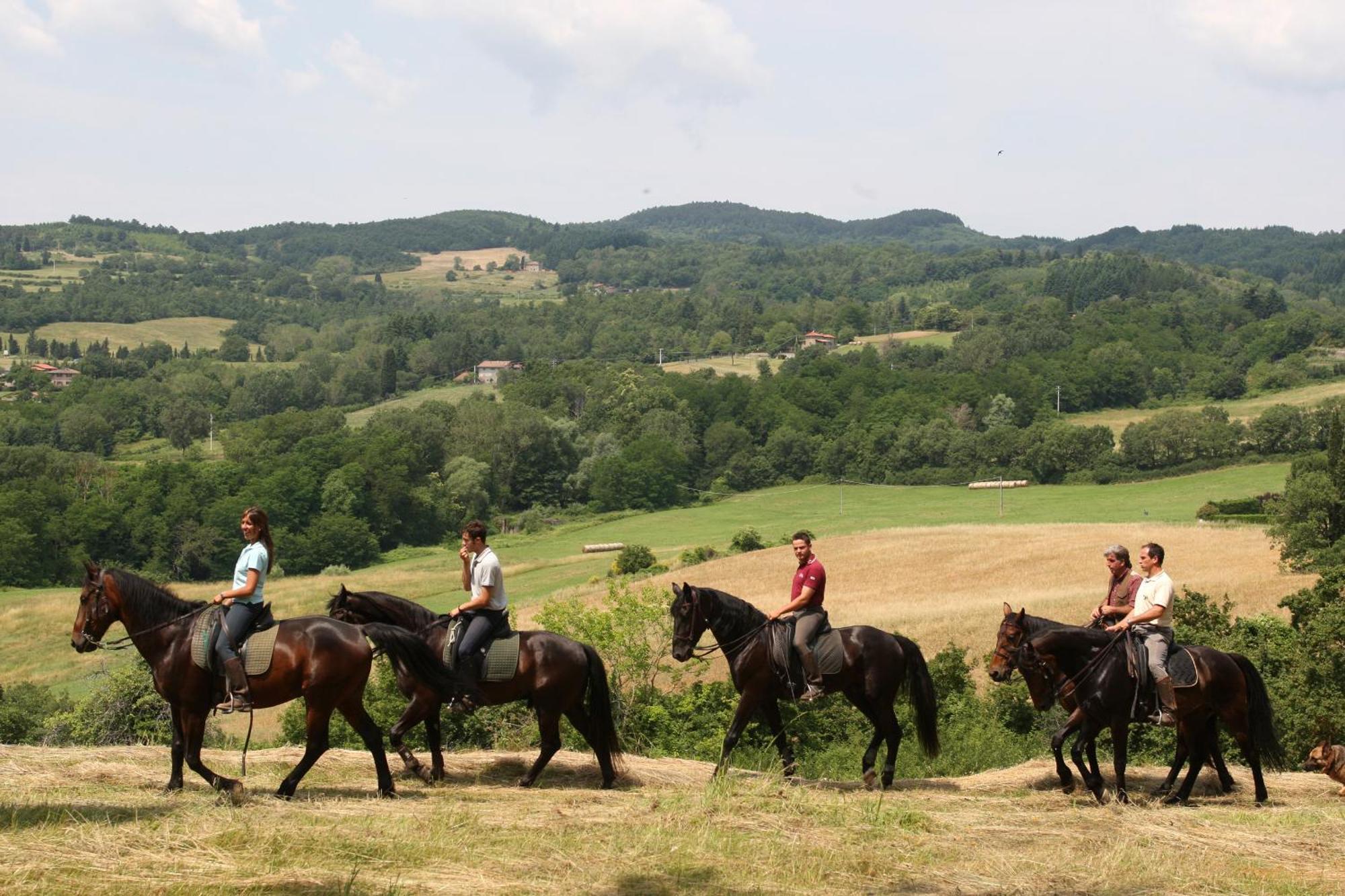 Agriturismo La Forra Cavriglia Luaran gambar