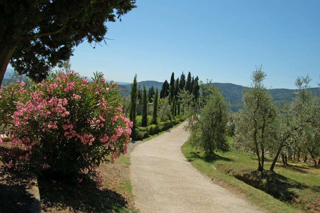 Agriturismo La Forra Cavriglia Luaran gambar